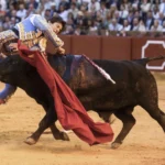 Cu&aacute;l es el parte m&eacute;dico de Roca Rey tras la cogida en Sevilla que lo dej&oacute; &ldquo;muy grave&rdquo;