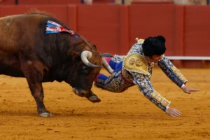 Morante de la Puebla sufre una cornada en el glúteo