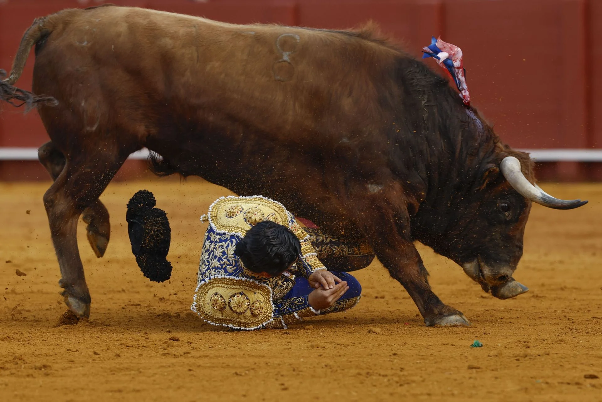 Morante de la Puebla sufre una cornada en el gl&uacute;teo