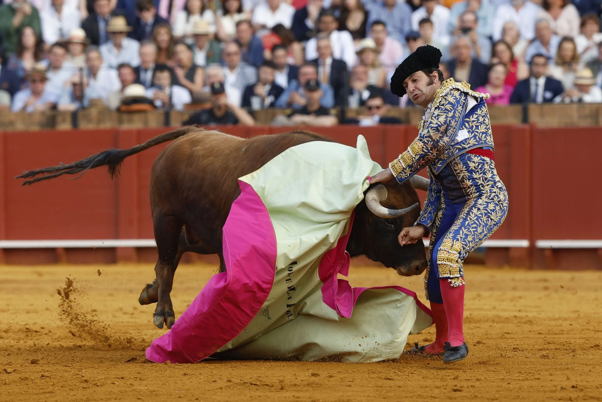 Morante de la Puebla sufre una cornada en el gl&uacute;teo