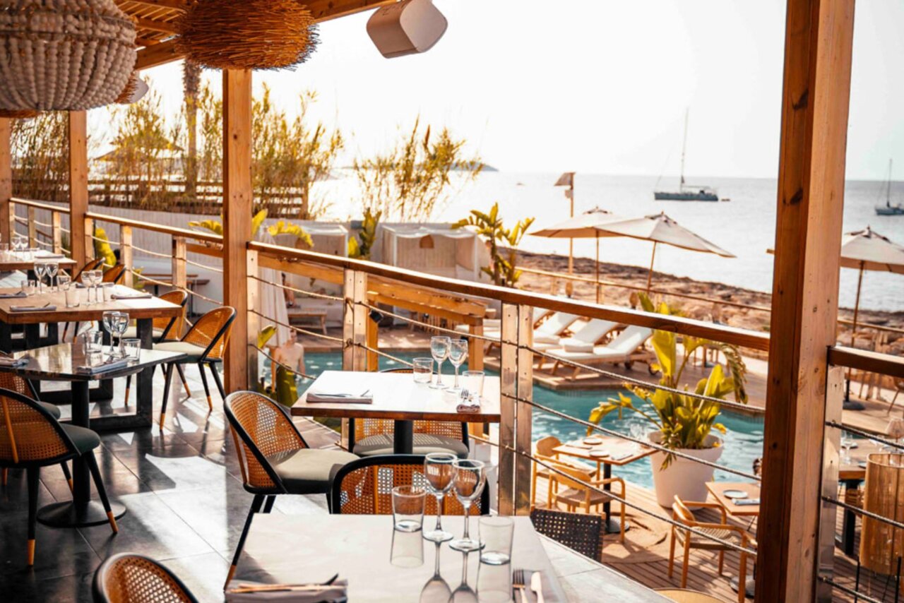 Monkey Ibiza