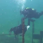 Hallazgo hist&oacute;rico bajo el agua: el misterioso submarino oculto durante siglos