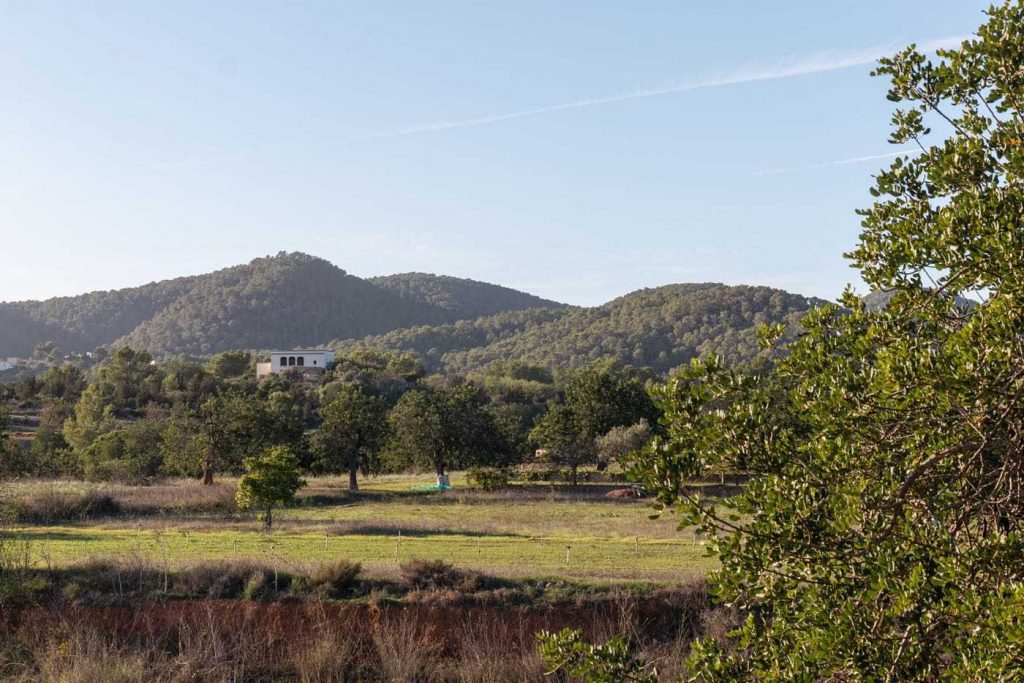 Sant Mateu d'Albarca