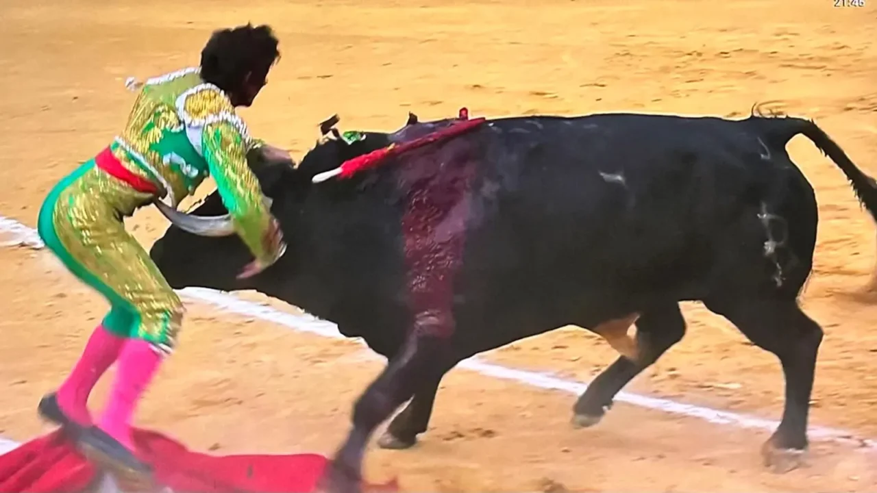 Alberto Dur&aacute;n recibi&oacute; una cornada en el escroto con afectaci&oacute;n en el test&iacute;culo derecho