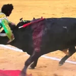 Alberto Dur&aacute;n recibi&oacute; una cornada en el escroto con afectaci&oacute;n en el test&iacute;culo derecho
