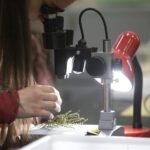 El Bachillerato de Excelencia en Ciencias y Tecnolog&iacute;a (STEMBach)