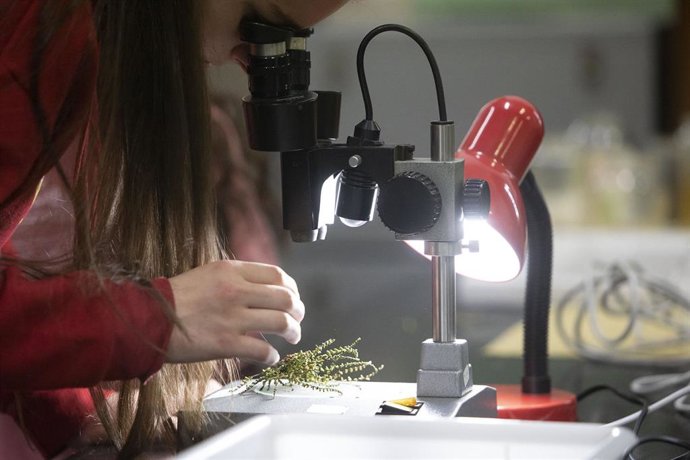 El Bachillerato de Excelencia en Ciencias y Tecnolog&iacute;a (STEMBach)