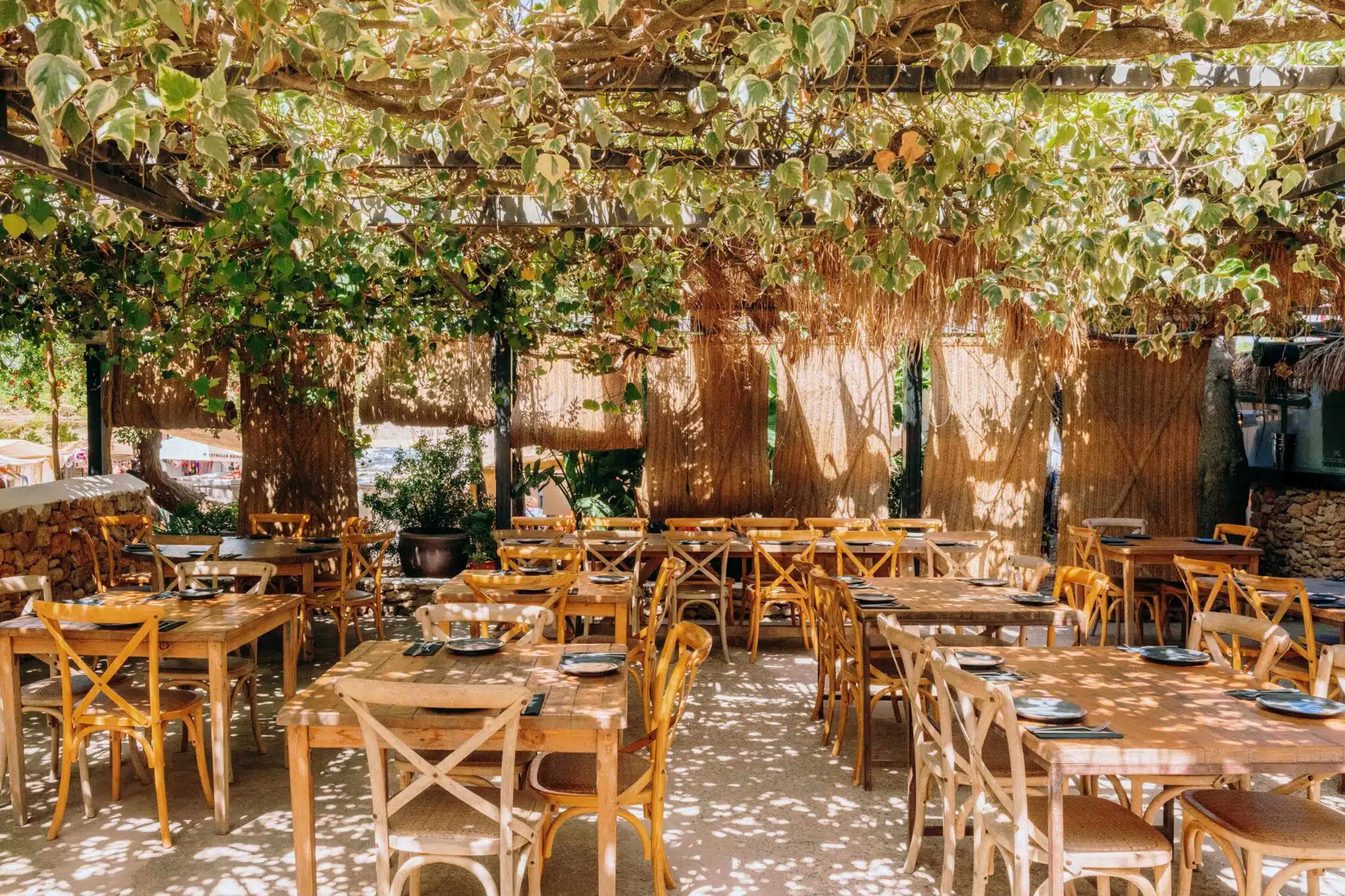 PaloSanto Ibiza