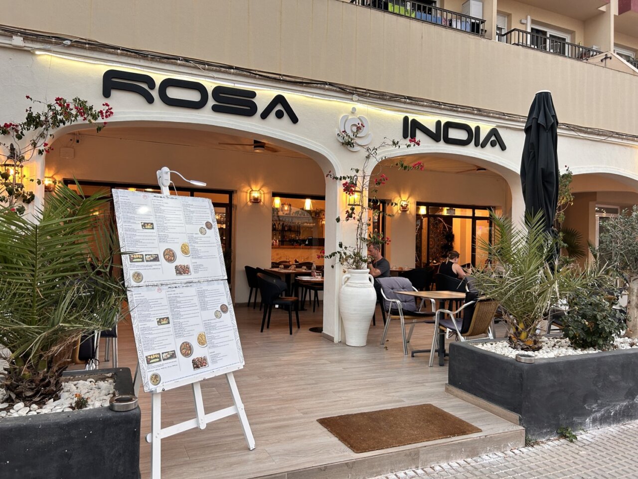 Rosa India