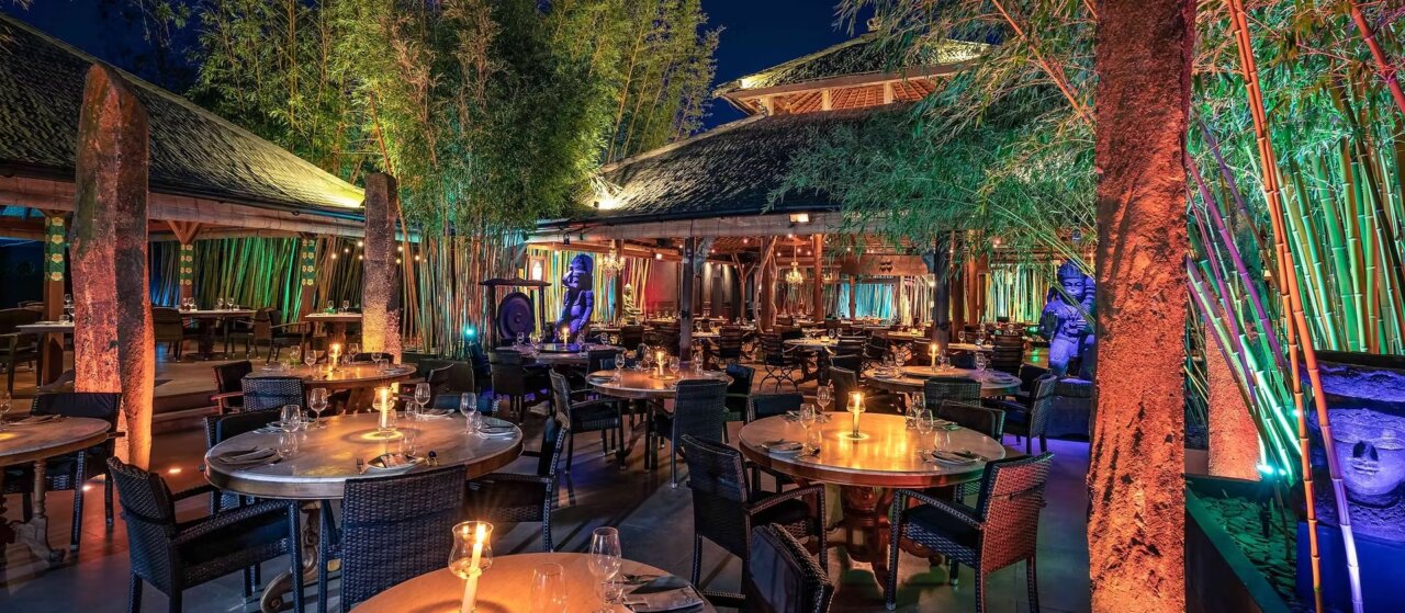 BAMBUDDHA GROVE