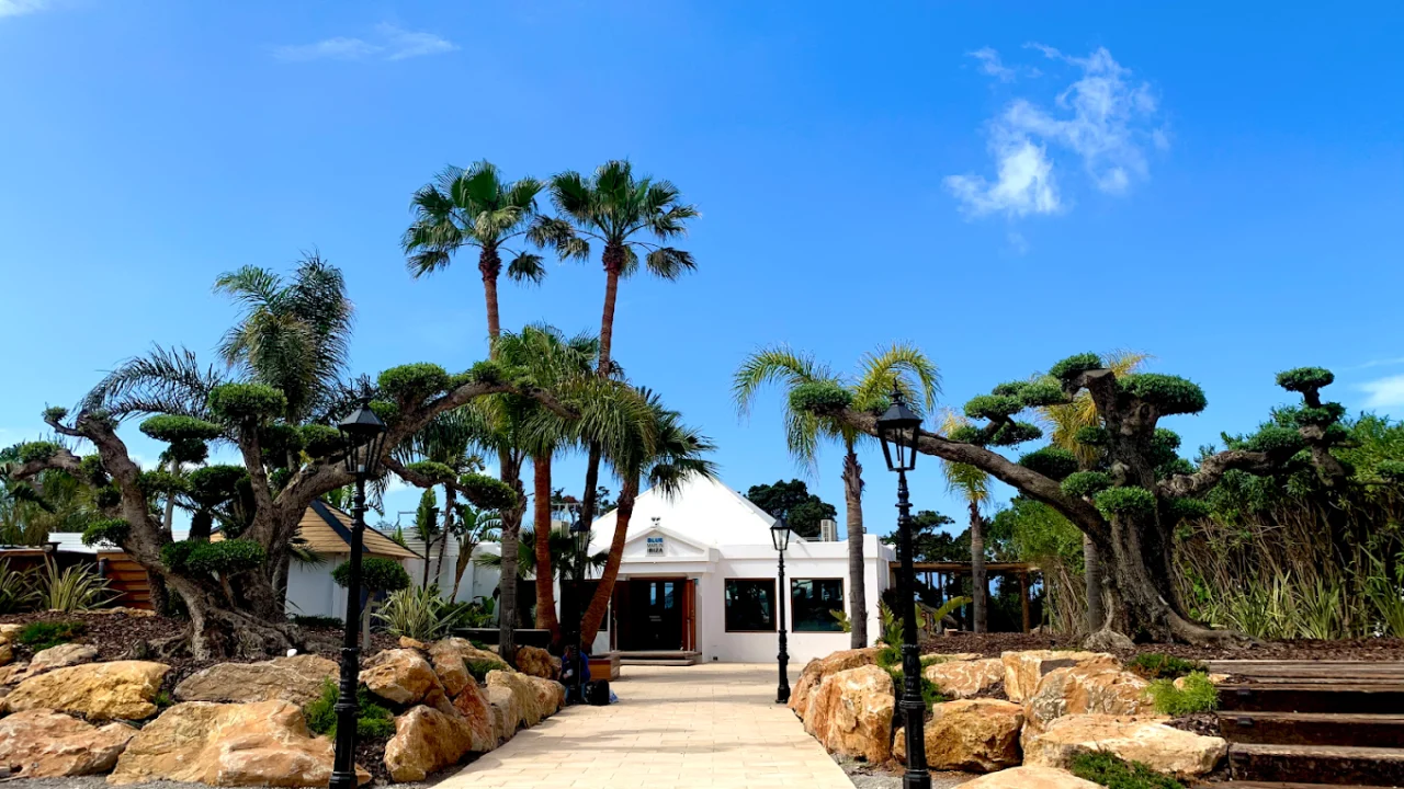 Blue Marlin