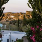 Restaurantes en el campo de Ibiza: cinco rincones para comer rodeado de naturaleza