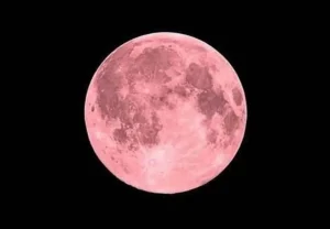 Luna de Fresa