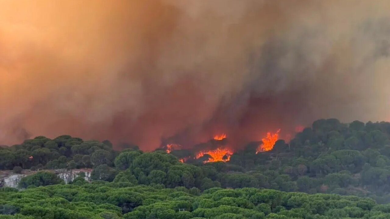 Incendios en San Mart&iacute;n de Valdeiglesias