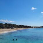 Parque natural Ses Salines