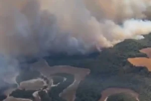 Vista a&eacute;rea del incendio de Leci&ntilde;ena