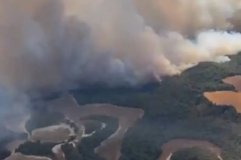Vista a&eacute;rea del incendio de Leci&ntilde;ena