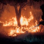 Madrid y &Aacute;vila entran en emergencia nacional por la evoluci&oacute;n de los incendios forestales