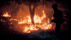 Incendios forestales