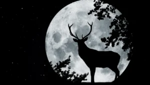 Luna del Ciervo 2026