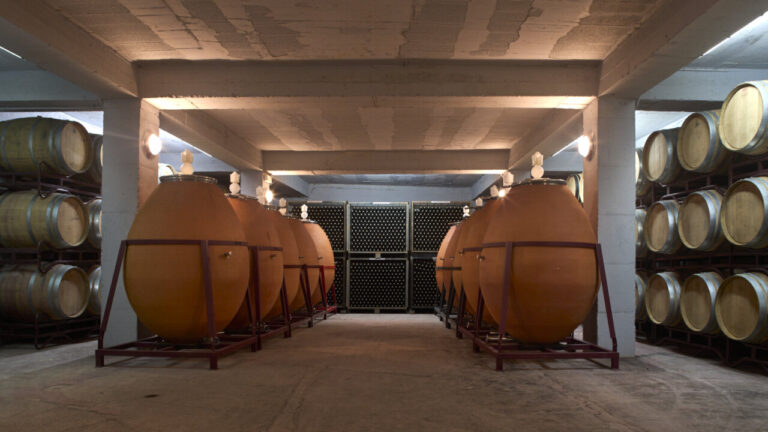 Bodega-Crianza-Anforas