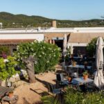 Ruta del norte de Ibiza: viñedos, senderismo y Bar Anita en un día perfecto