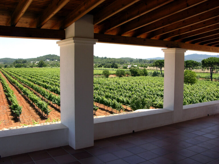 Porche-Bodega-Can-Rich