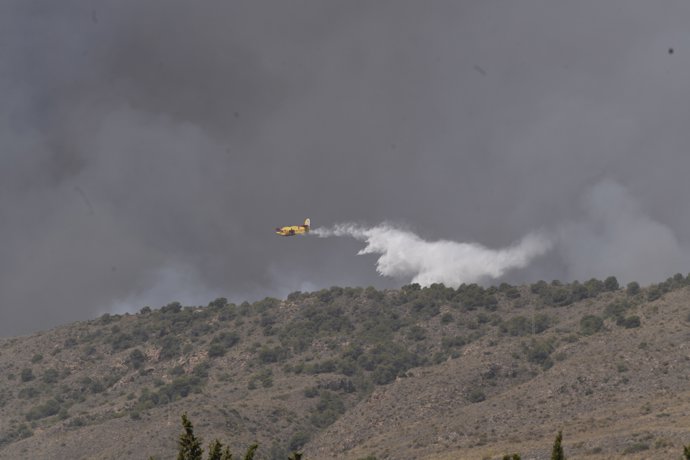 Un hidroavi&oacute;n trabaja en las labores de extinci&oacute;n del incendio forestal en Andaluc&iacute;a