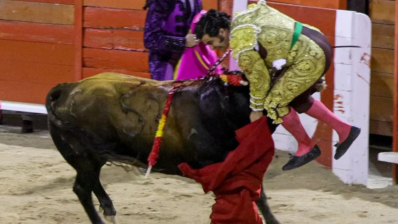 Morante de la Puebla sufre una cogida con su quinto toro en Palma de Mallorca