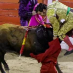 El gran susto de Mallorca: Morante de la Puebla acaba en la enfermería tras una cogida
