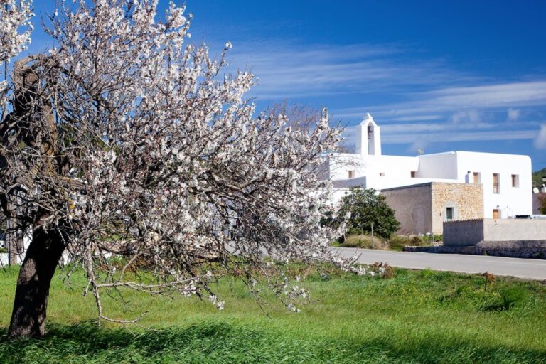 La floraci&oacute;n de los almendros del Pla de Corona