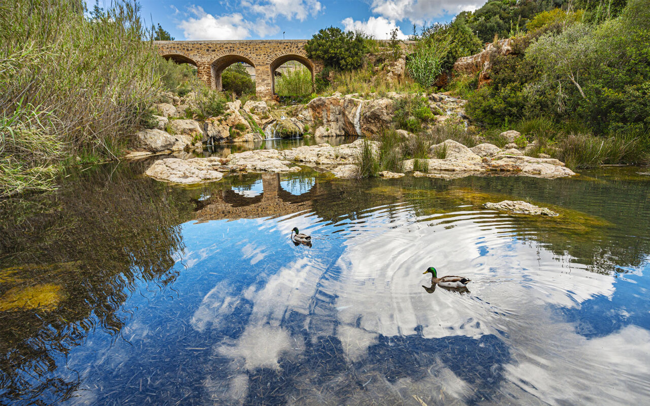 Ruta del R&iacute;o de Santa Eul&agrave;ria