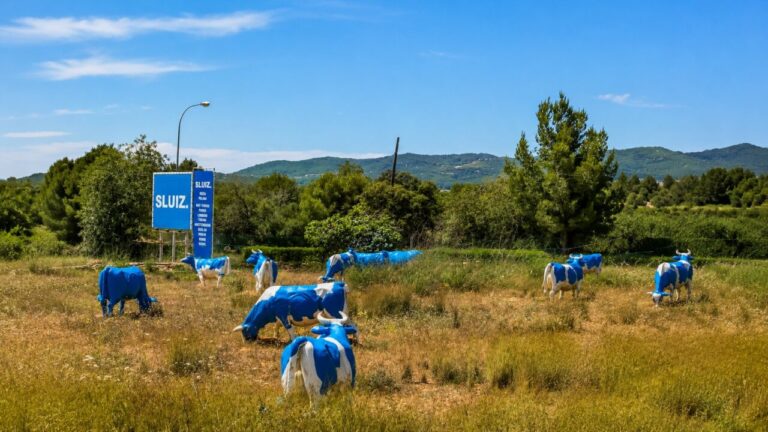 SLUIZ Ibiza