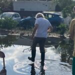 Descontrol en uno de los espacios naturales más valiosos de Ibiza: vertidos fecales y fincas convertidas en vertederos