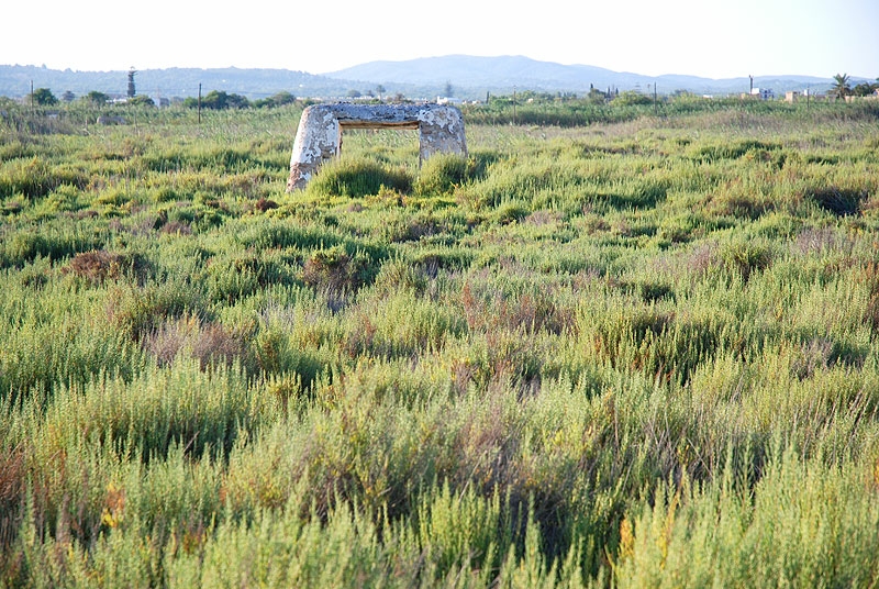 Ses Feixes (Foto: Xescu Prats | Ibiza 5 Sentidos)
