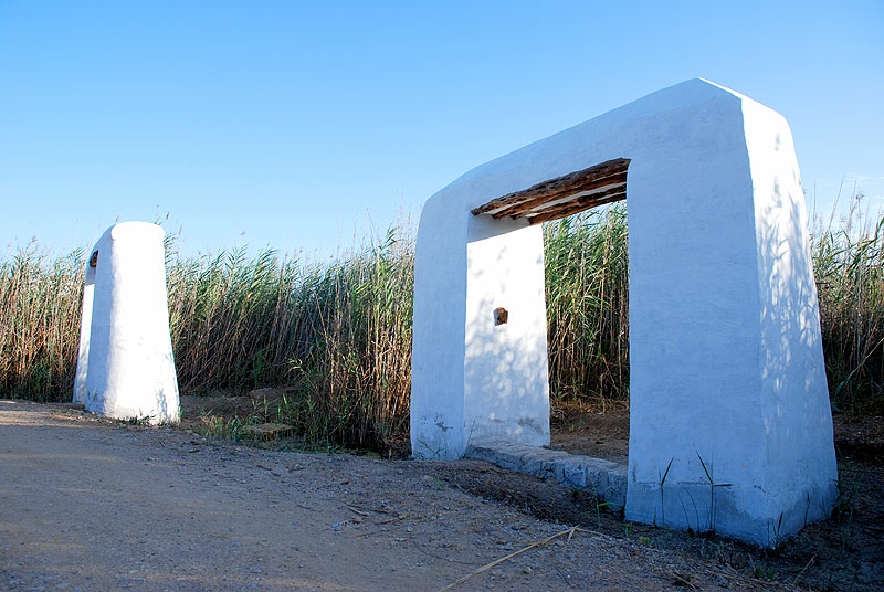 Camino de Ses Feixes (Foto: Xescu Prats | Ibiza 5 Sentidos)