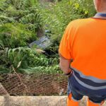 La curva trágica de Ibiza: los nuevos detalles del accidente mortal en Santa Eulària