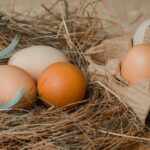 Huevos
