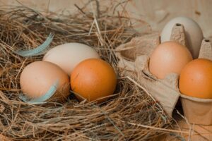 Huevos