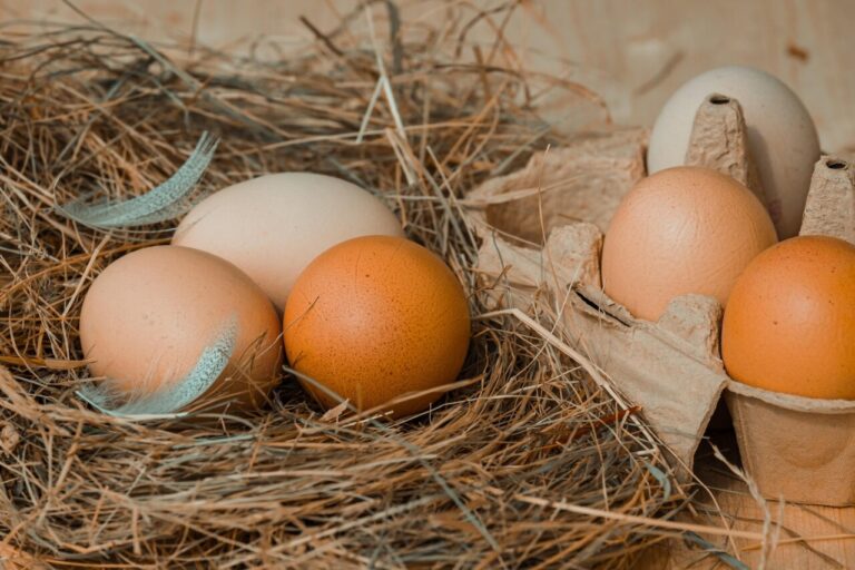 Huevos