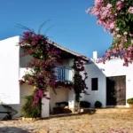 Ruta del agua de Ibiza: 4 lugares que revelan c&oacute;mo sobreviv&iacute;a el campo en una isla seca